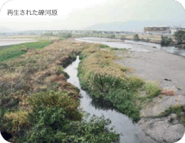 写真 再生された礫河原