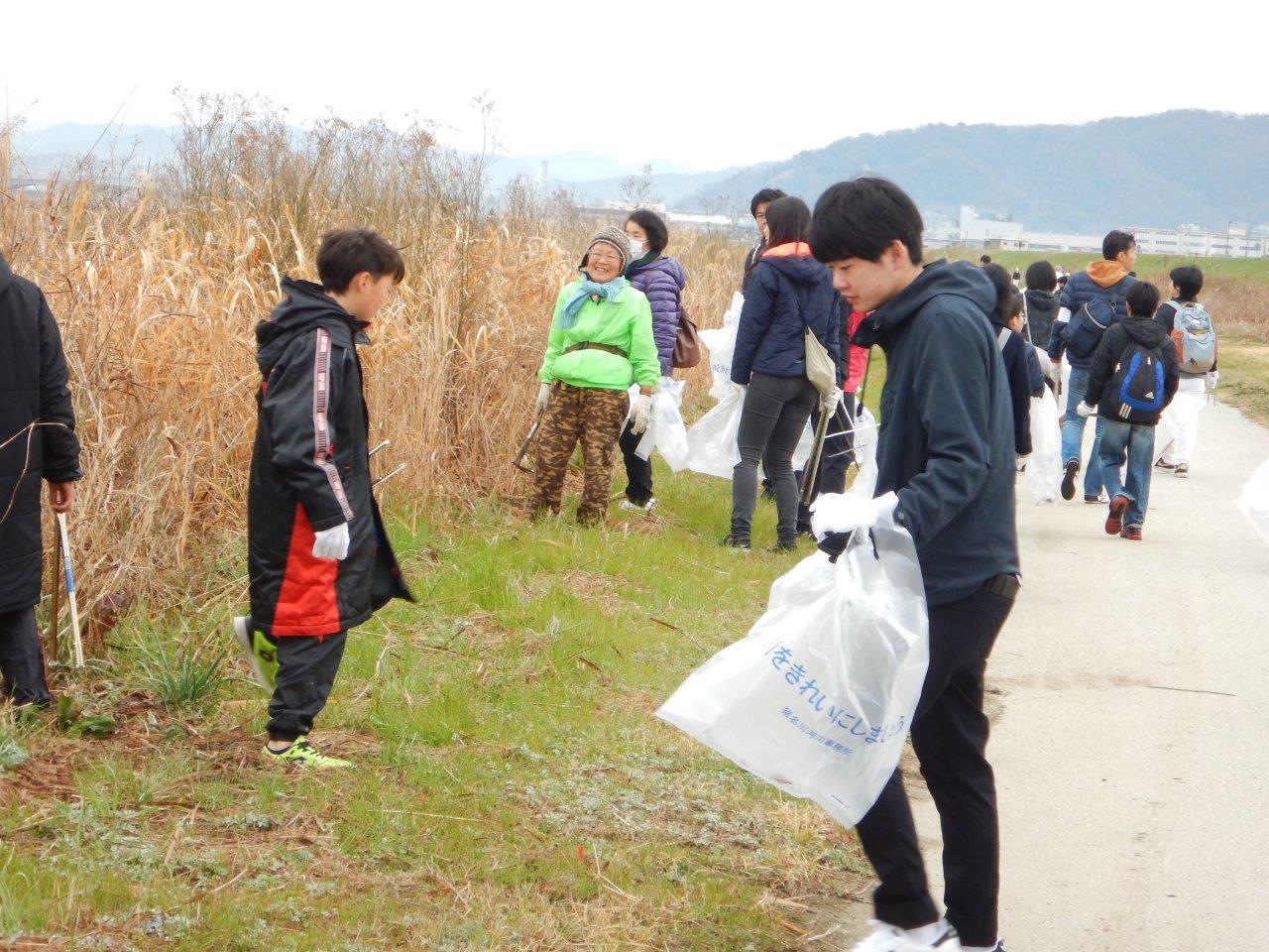 アレチハナガサ駆除・清掃の様子