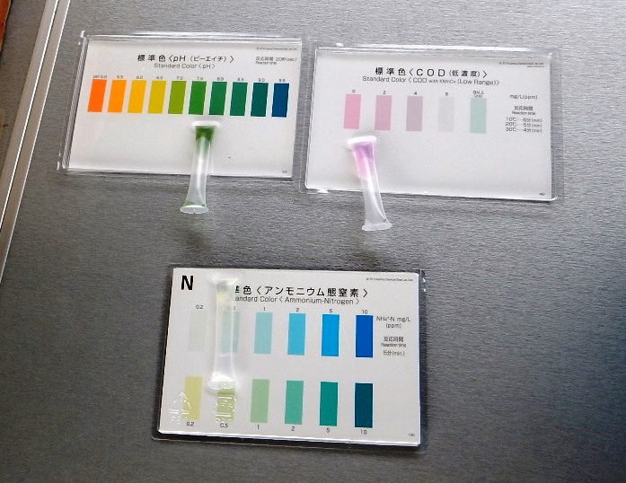 パックテストの様子