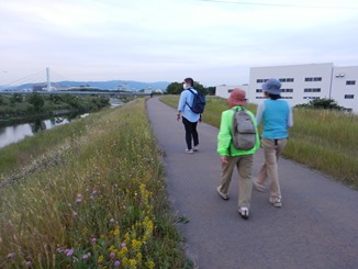 明るいうちに生息地の下見