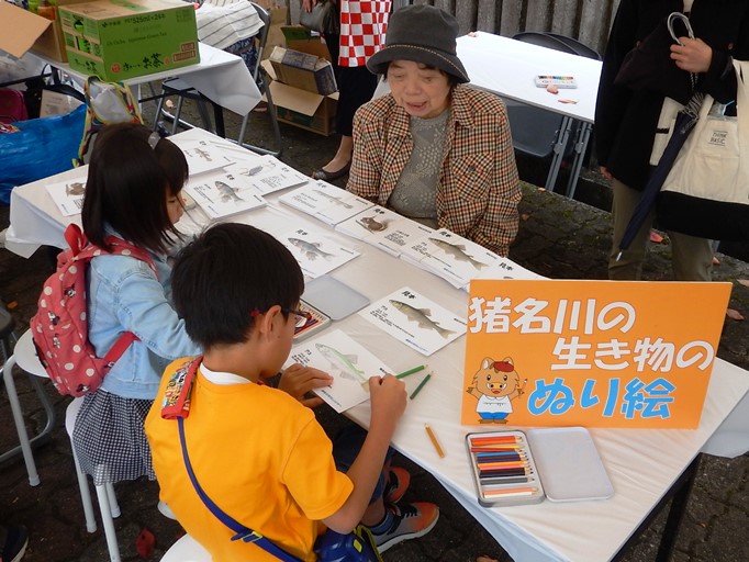 生き物の塗り絵