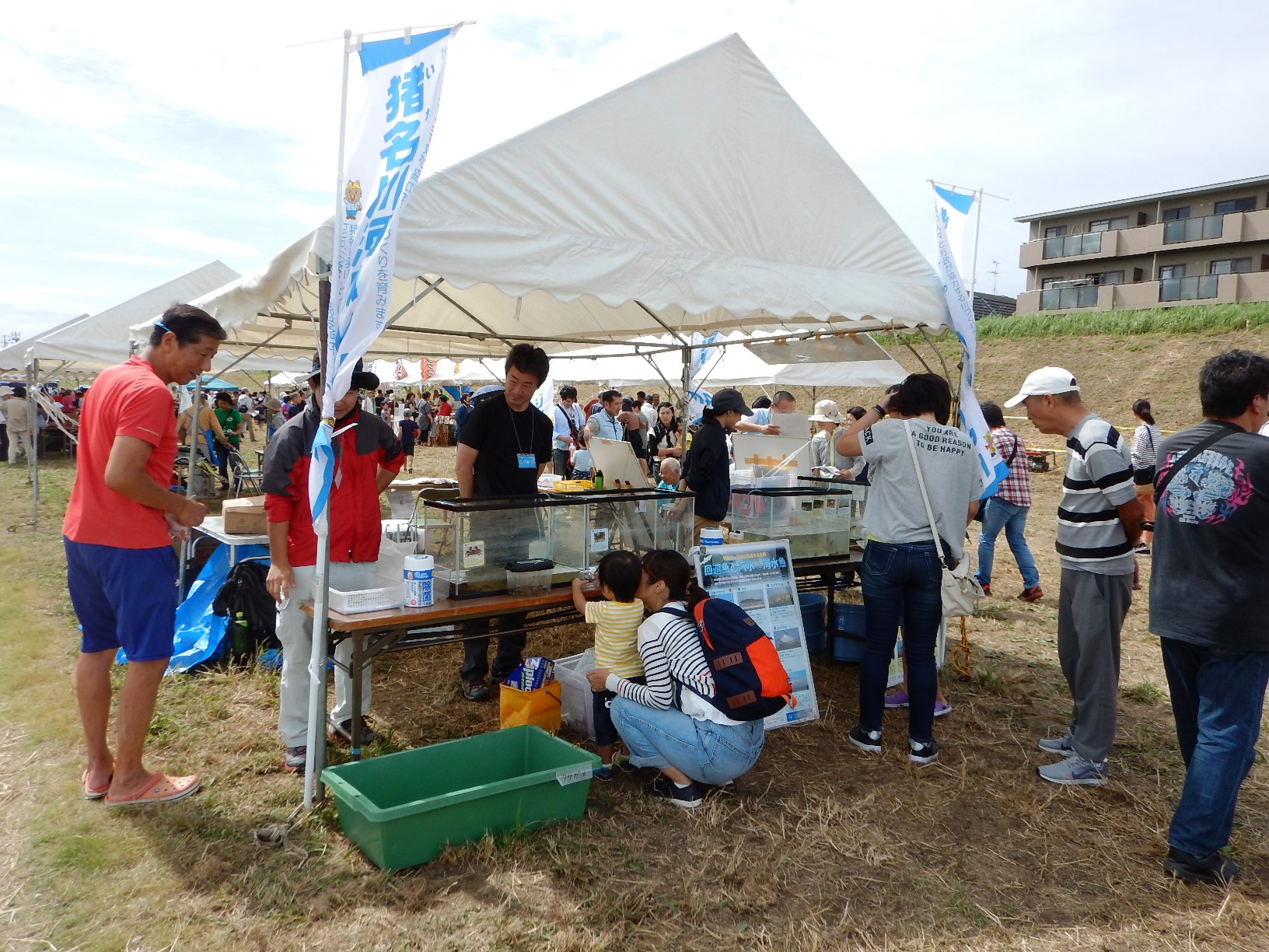 河川レンジャーのブースの様子（横）