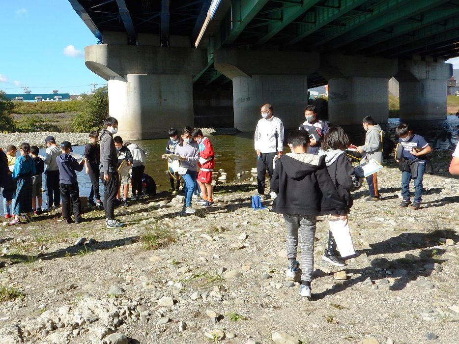 水質調査の様子