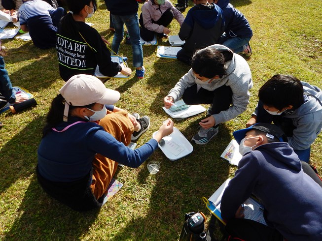 水質調査の様子