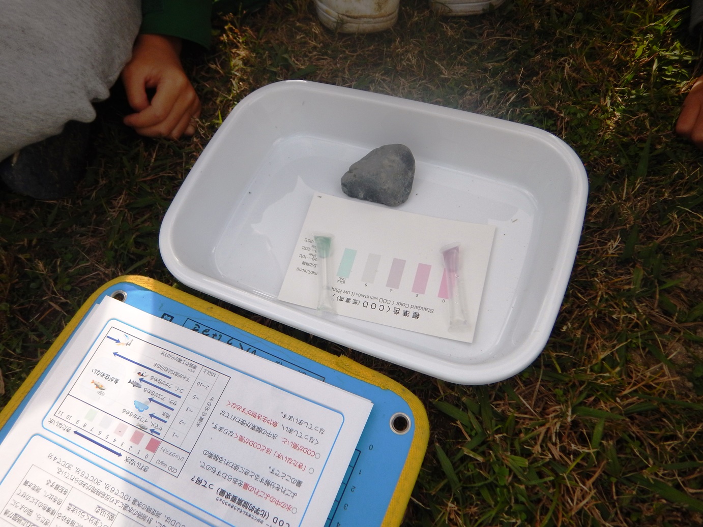 調査結果のとりまとめ