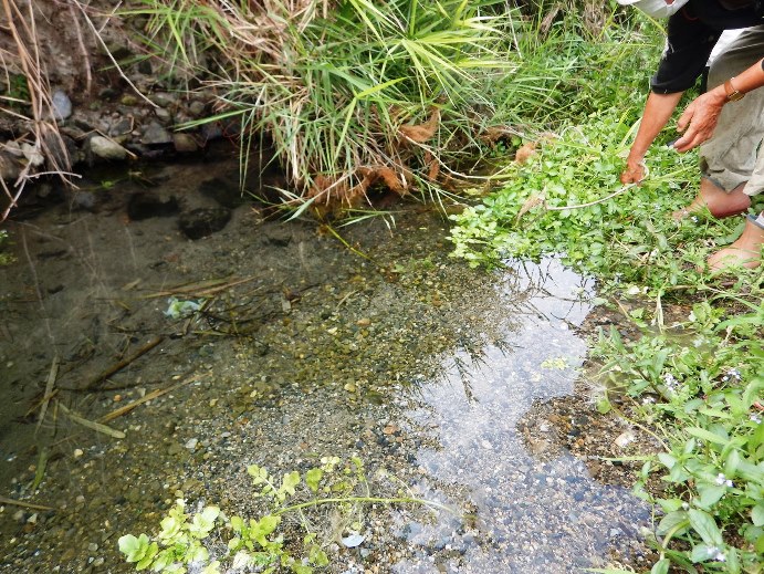 軍行橋付近の湧水