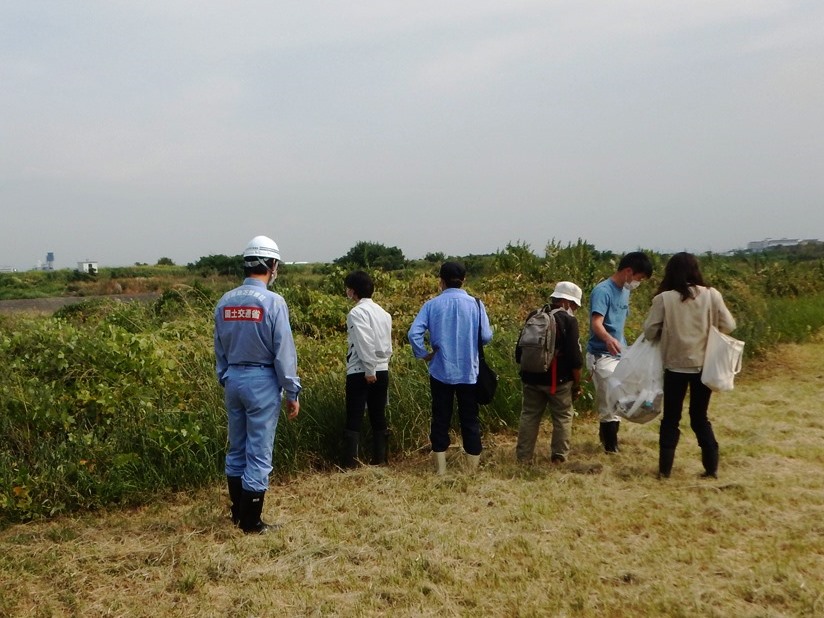 軍行橋付近の植生