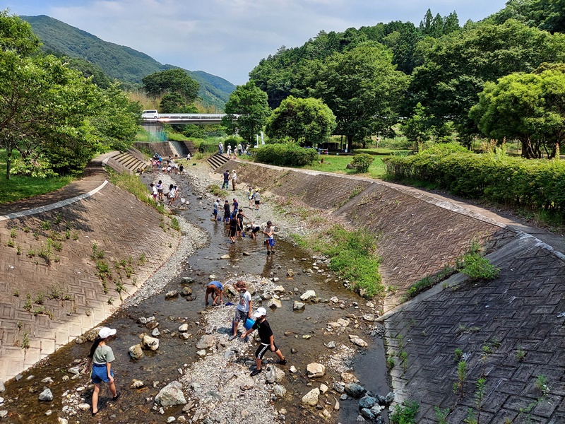 川に入って観察開始