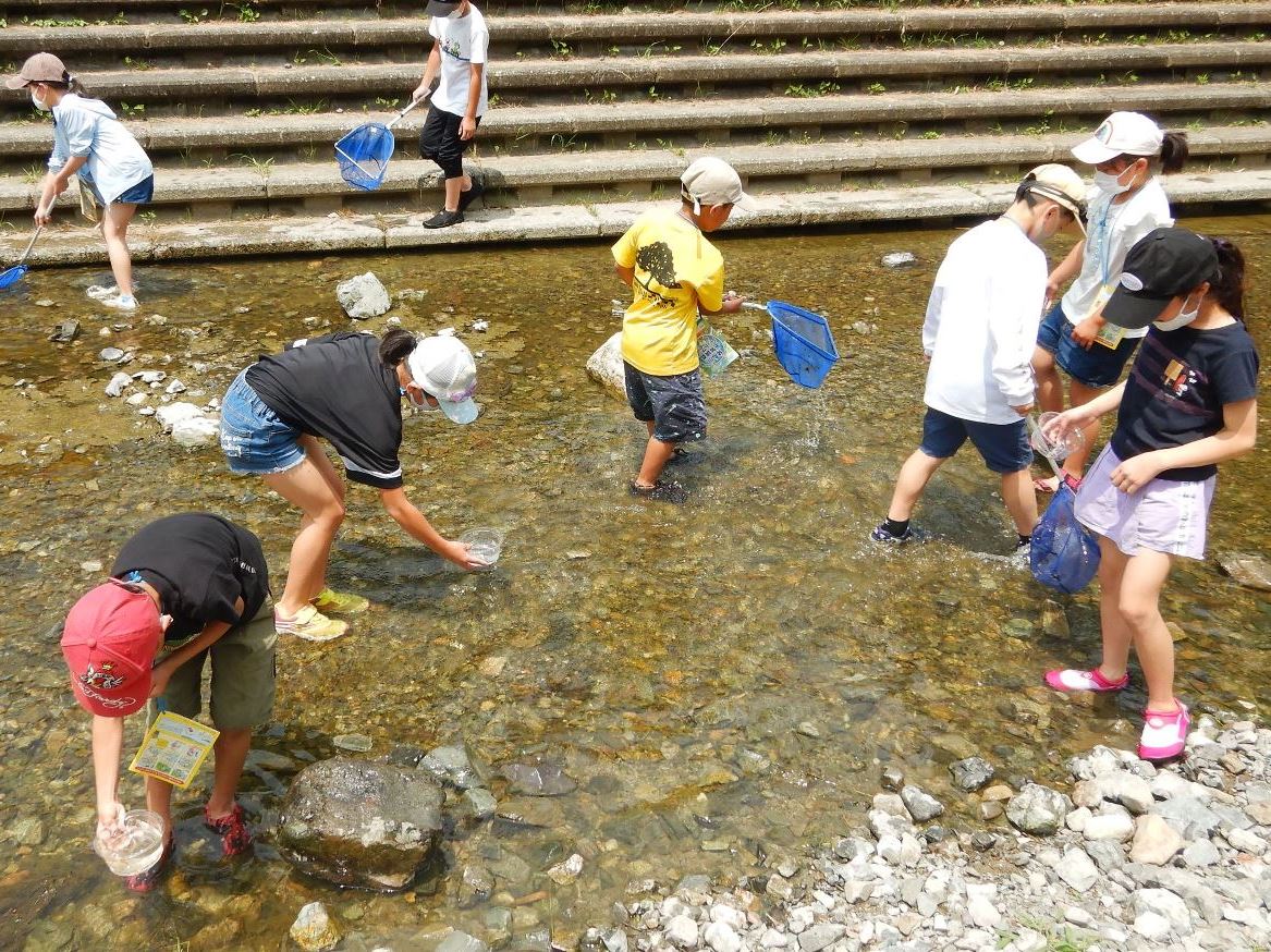 夢中になって生き物探し