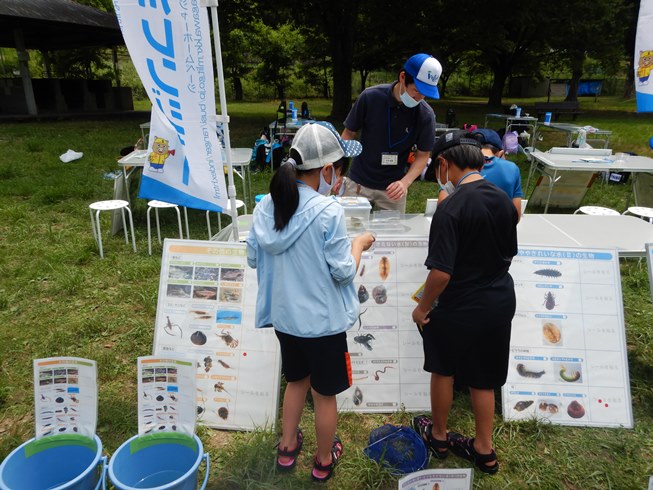 つかまえた生き物はパネルに記録