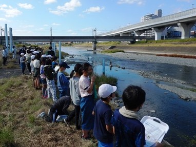 護岸上から川の様子を観察