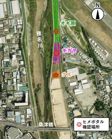 ヒメボタル確認場所