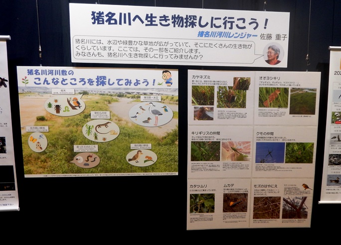 出展ポスター（夏）