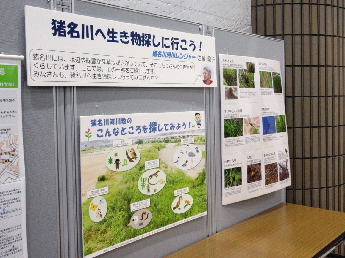 出展ポスター（冬）