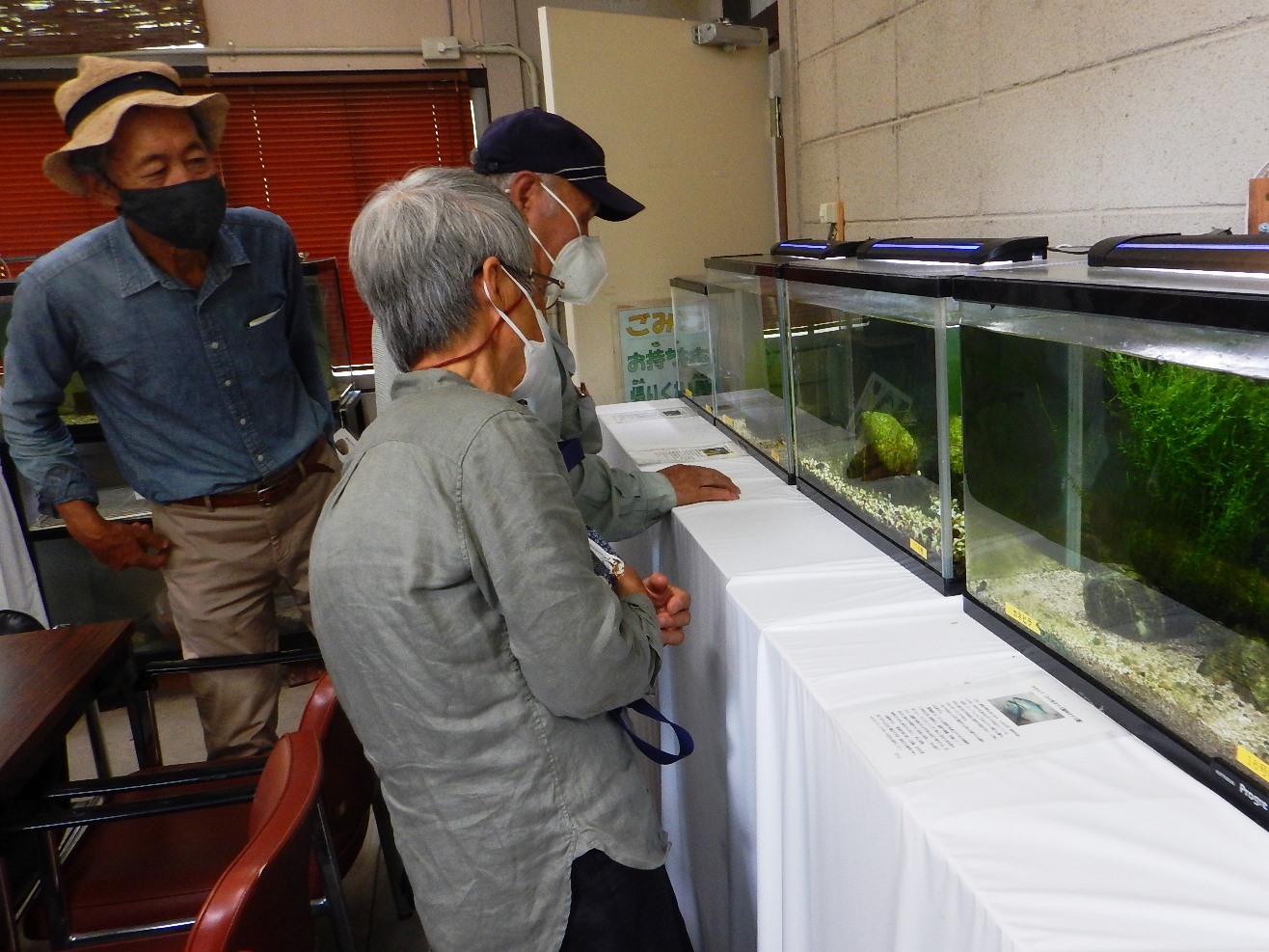 屋内展示室の見学