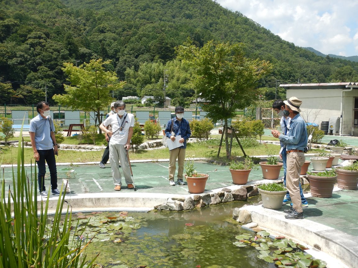 屋外ビオトープの見学