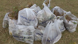 駆除活動後の状況