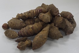 駆除したキクイモ（一部）