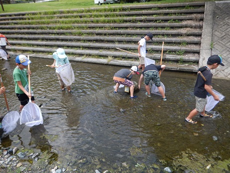 生き物探しに夢中
