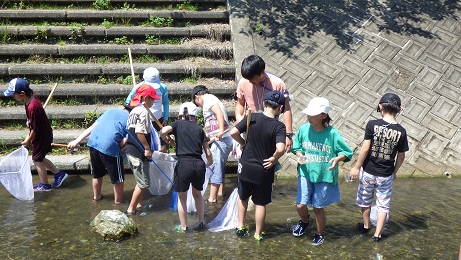 水谷レンジャーの指導で生き物採取