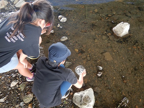 猪名川の「水」の観察