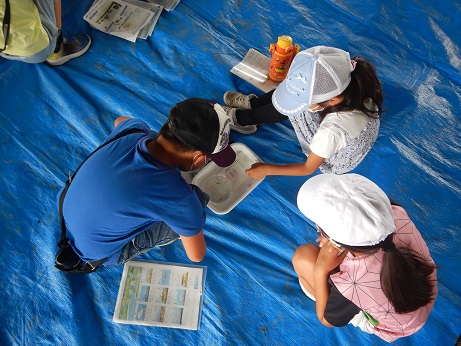 水質パックテストの色判定の体験