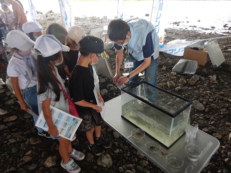 猪名川の生き物の観察