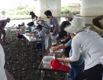 観察結果の取りまとめ
