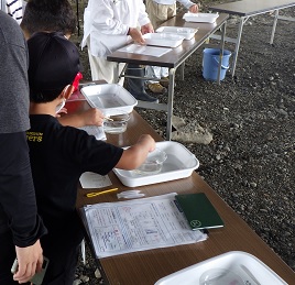 水質パックテストの体験