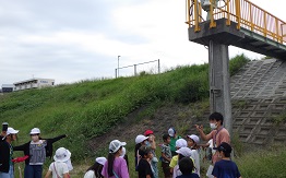 猪名川の観察散歩