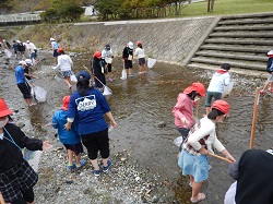 生き物探しに夢中