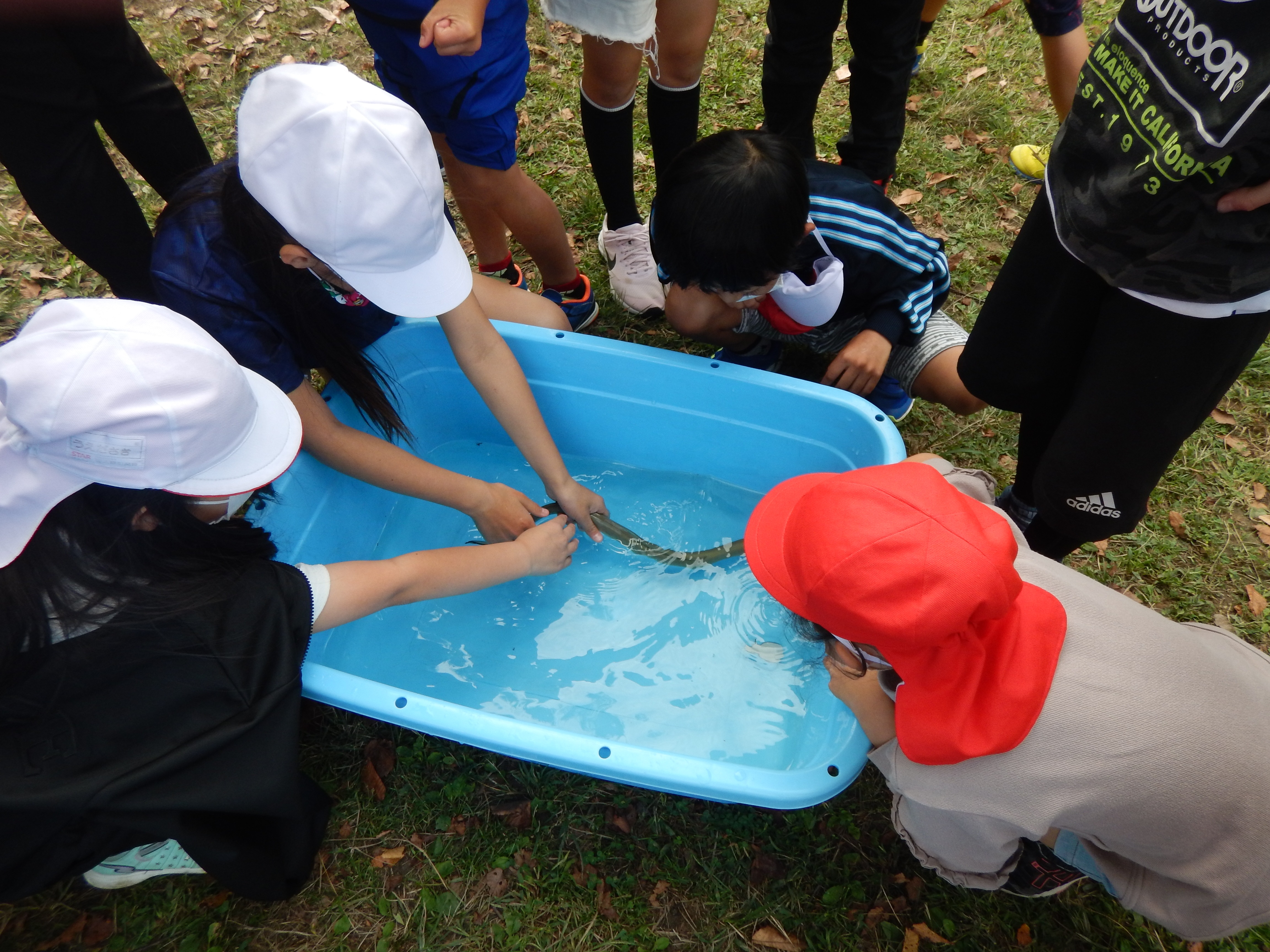猪名川の観察散歩
