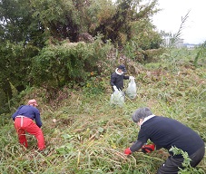 手作業での丁寧な駆除作業