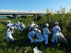 チームワークを活かした活発な駆除活動