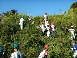 チームワークを活かした活発な駆除活動