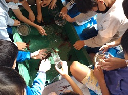 生き物に触れる生体展示