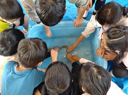 生き物に触れる生体展示