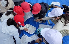 パックテストで水質分析