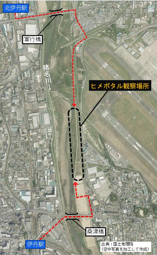 ヒメボタルを観察できる場所