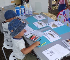 猪名川の生き物の塗り絵