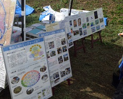 猪名川河川レンジャーの紹介展示