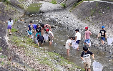 生き物探しに夢中