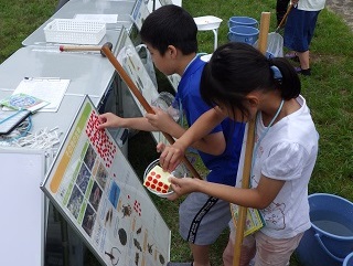 シールを貼って水質を判定