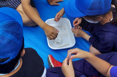 パックテストによる水質調査