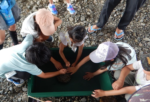 猪名川の生き物の観察