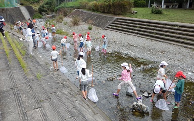 生き物探しに夢中