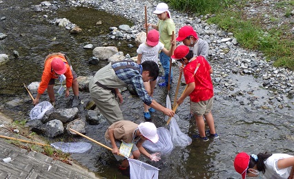 水谷河川レンジャーと生き物探し
