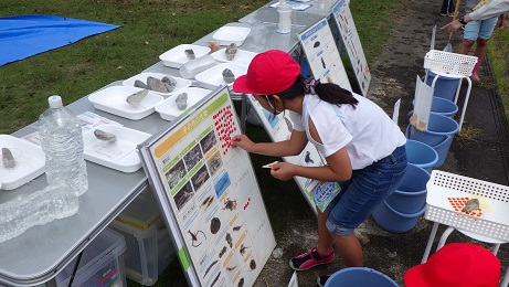 シールを貼って水質を判定
