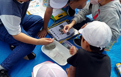 パックテストによる水質調査