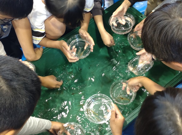 生き物に触れる生体展示